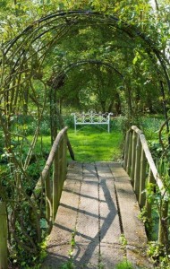 The double rose arch bridge at Ulting Wick garden