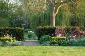 View of the pink garden at Ulting Wick